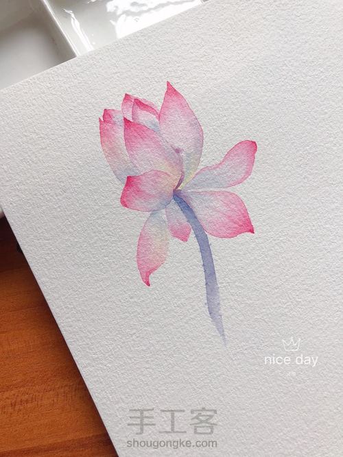 水彩古风荷花 第1步