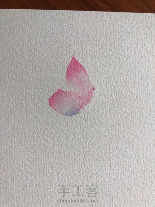 水彩古风荷花 第4步