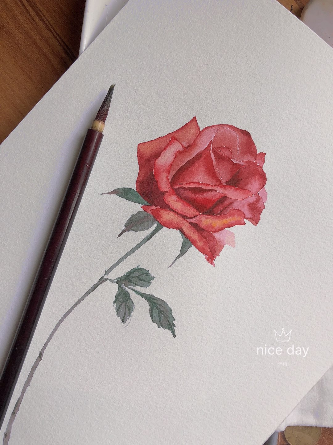 玫瑰是我画来的 但爱你是真的
