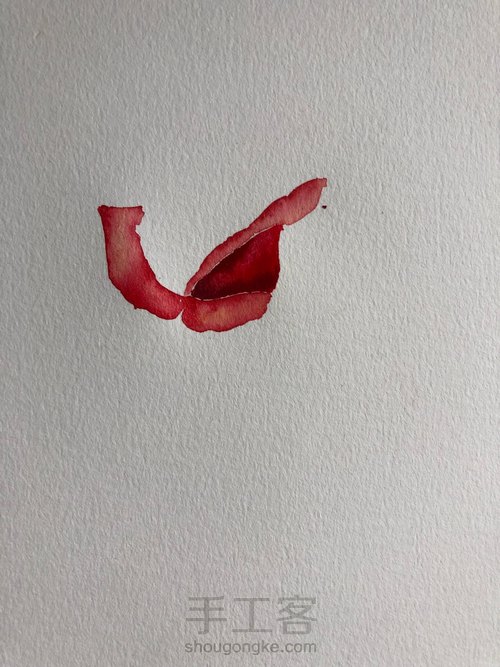 5.20速涂玫瑰花 第5步