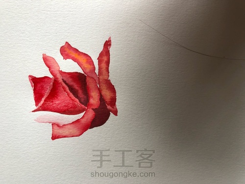 5.20速涂玫瑰花 第9步