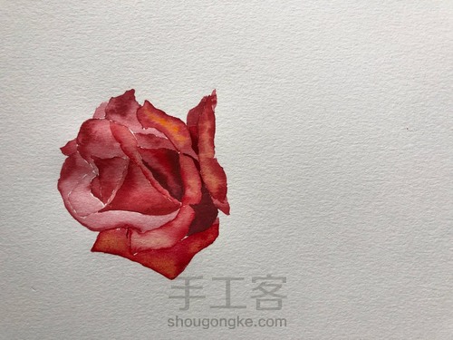 5.20速涂玫瑰花 第11步