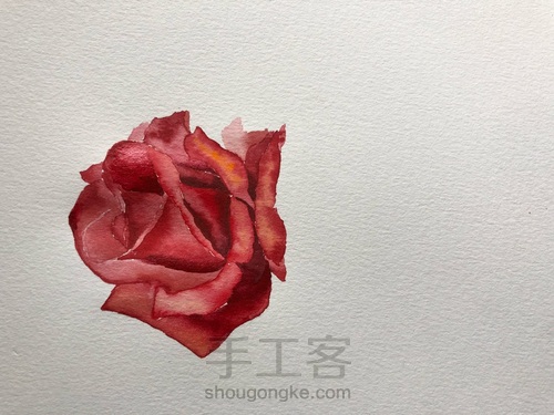 5.20速涂玫瑰花 第12步