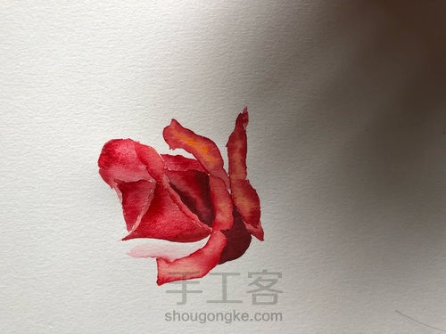 5.20速涂玫瑰花 第10步