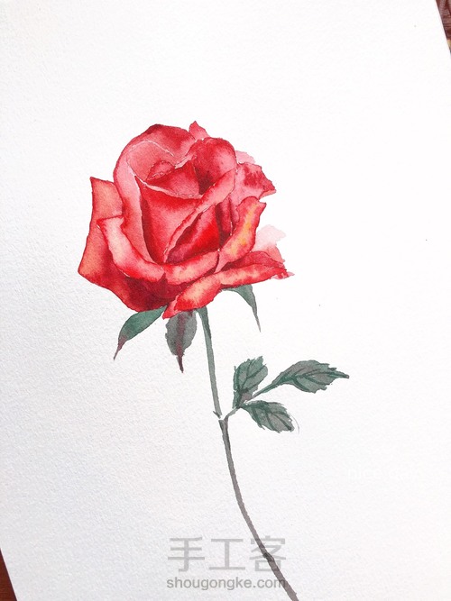 5.20速涂玫瑰花 第13步