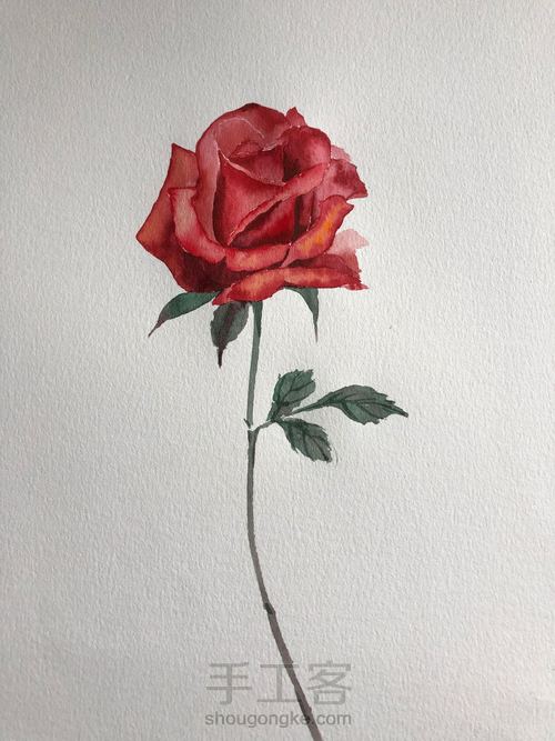 5.20速涂玫瑰花 第14步