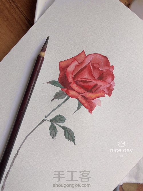 5.20速涂玫瑰花 第15步
