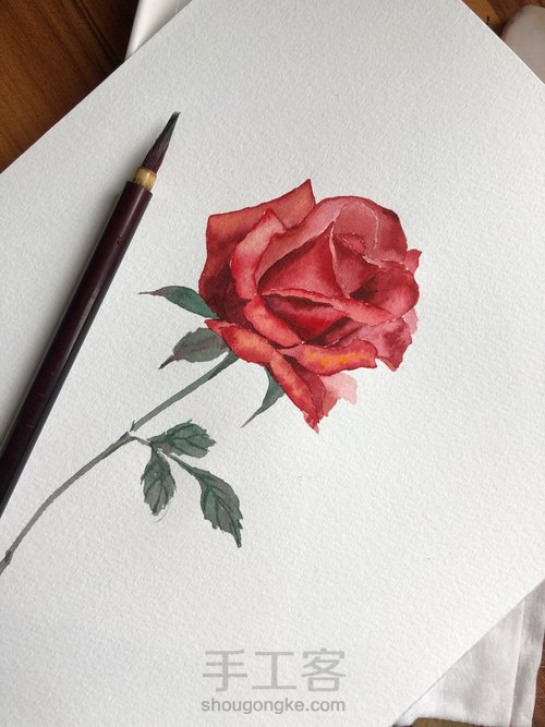 5.20速涂玫瑰花 第1步