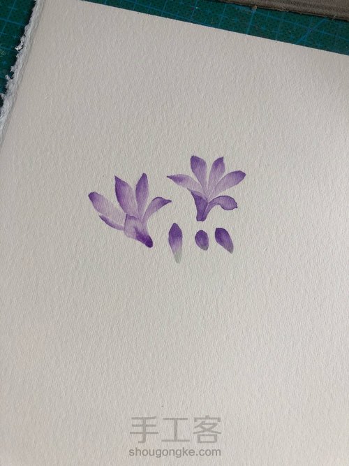 水彩百子莲 第2步