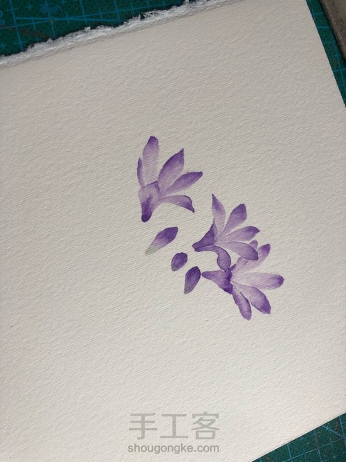 水彩百子莲 第3步