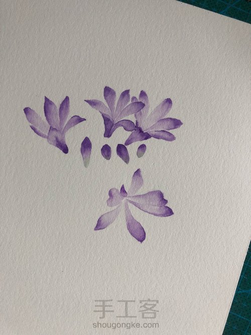 水彩百子莲 第4步