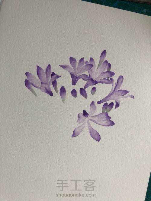 水彩百子莲 第6步