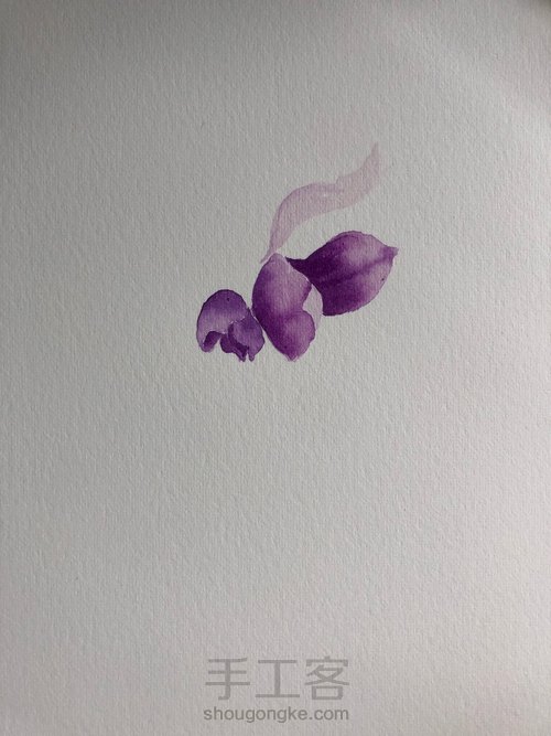 水彩玉兰花 第3步