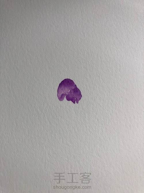 水彩玉兰花 第2步