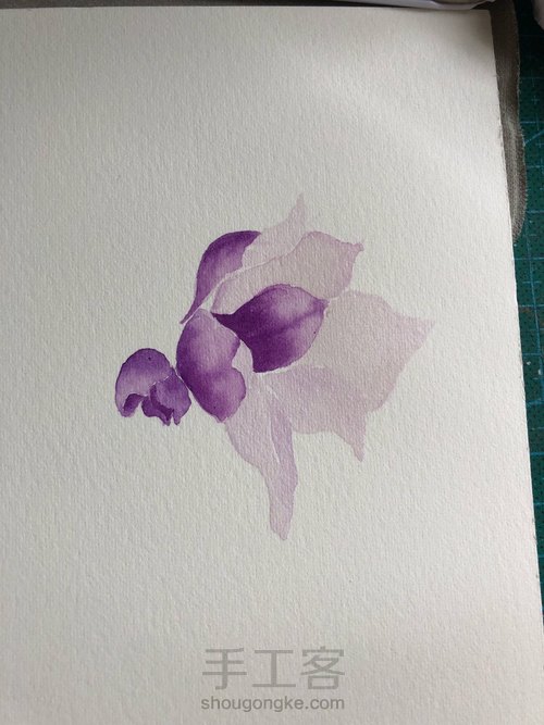 水彩玉兰花 第5步