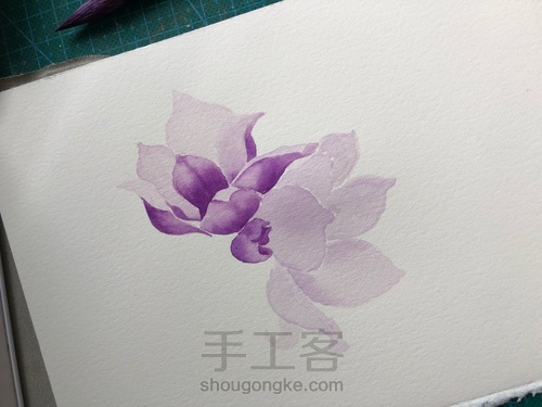 水彩玉兰花 第7步