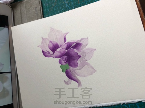 水彩玉兰花 第10步