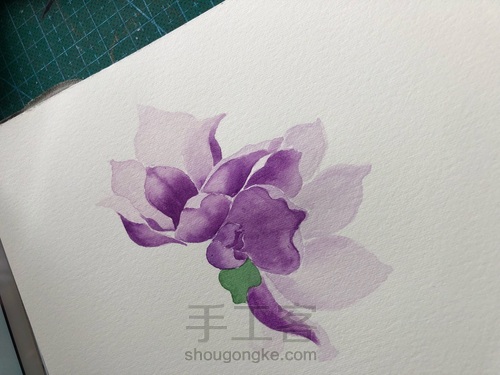 水彩玉兰花 第8步