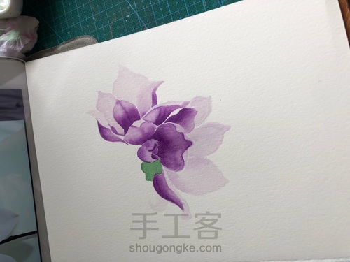 水彩玉兰花 第9步