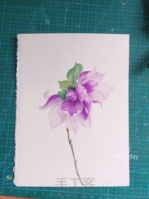 水彩玉兰花 第13步