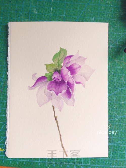 水彩玉兰花 第14步