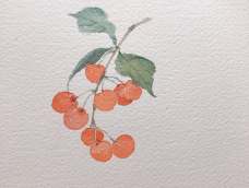 毫无难度的小樱桃，没有颜色叠加，单一的颜色，形状也不复杂，就是画个没那么圆的圆。