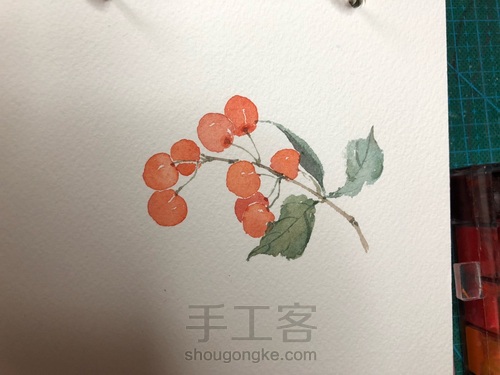 水彩小樱桃 第4步