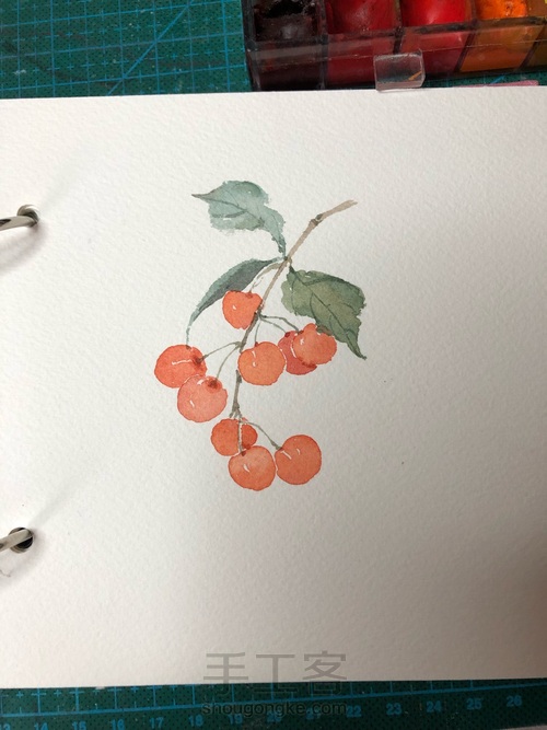 水彩小樱桃 第5步