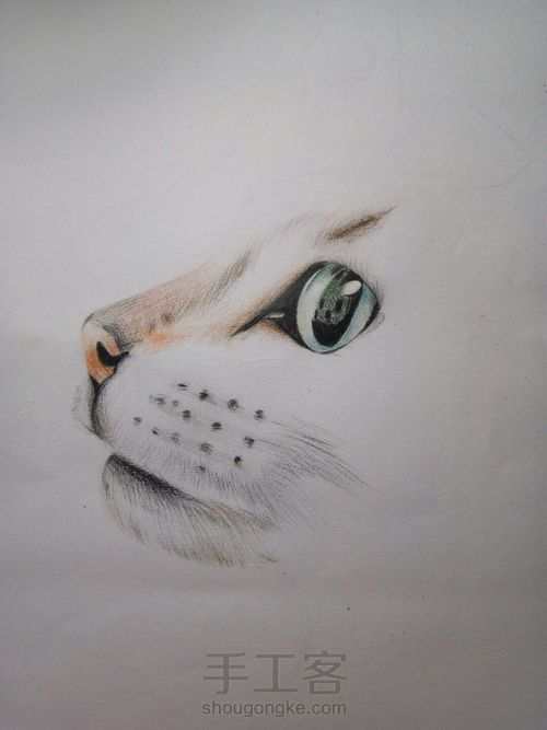 猫 第8步