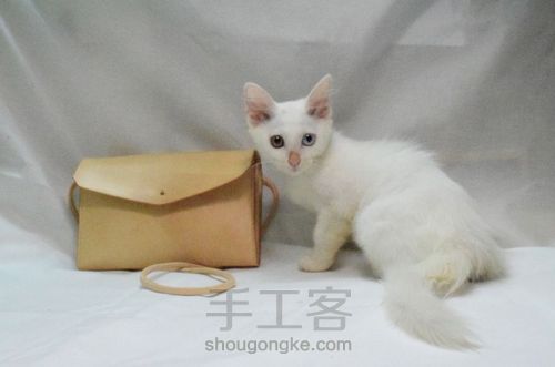 小挎包/手拿包 第34步