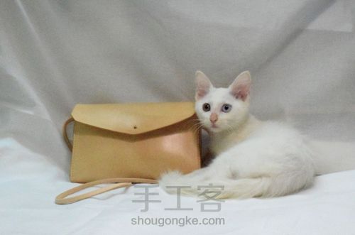 小挎包/手拿包 第35步