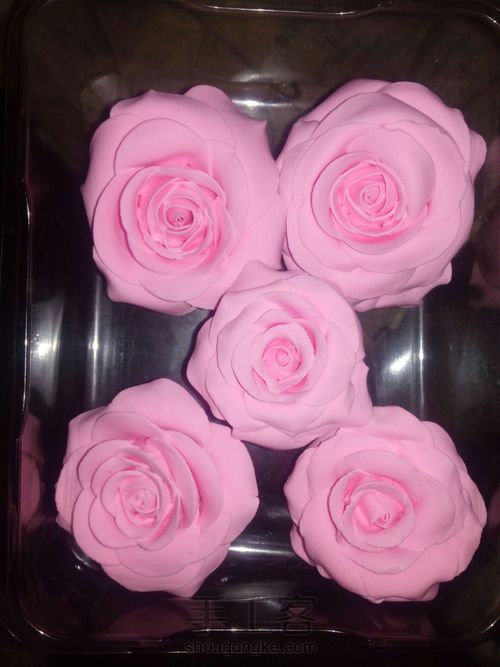 粉玫瑰花详细教程 第18步