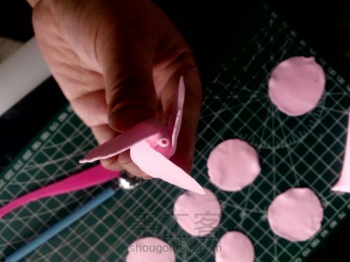 粉玫瑰花详细教程 第6步