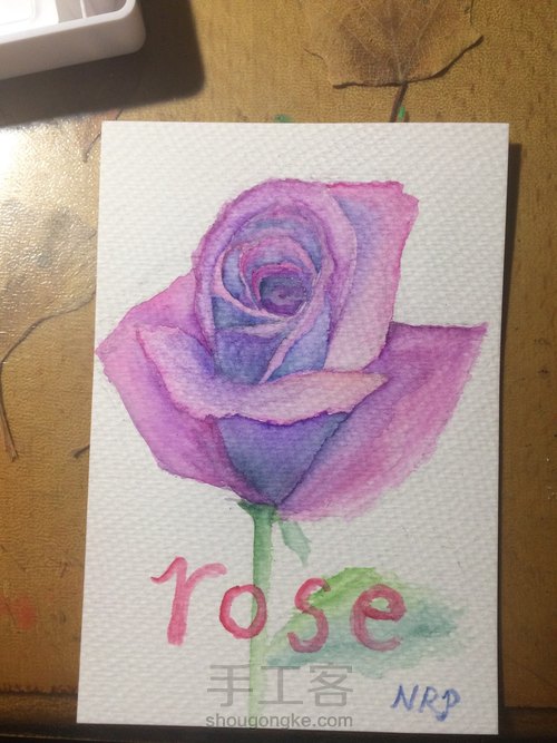 rose 第12步