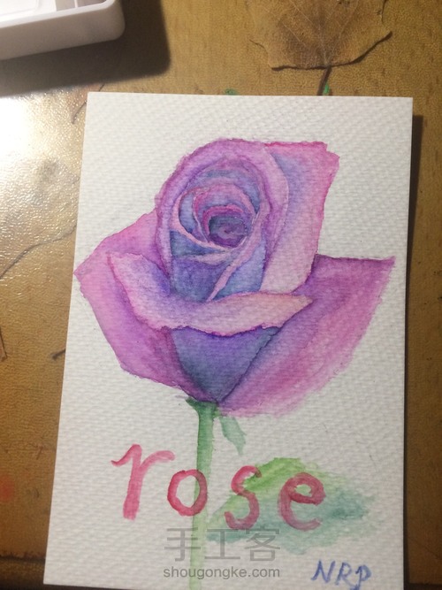 rose 第13步