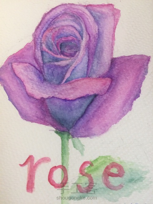 rose 第15步