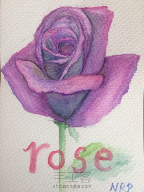 rose 第16步