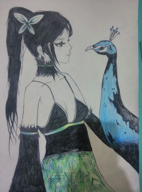 孔雀东南飞 第8步