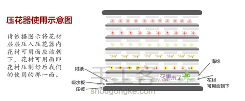 压花器（押花器）的使用方法——自制压花／干花 第6步