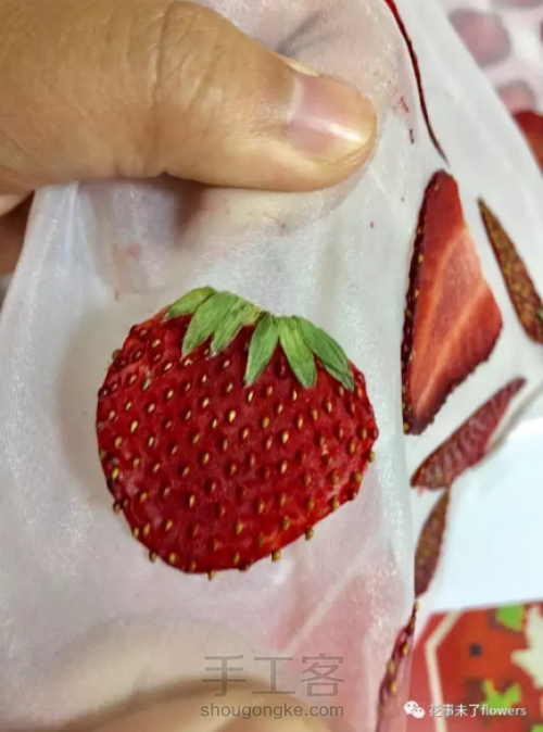 压花器如何压制草莓教程 第24步