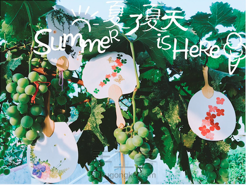 diy夏日和风压花扇 第9步