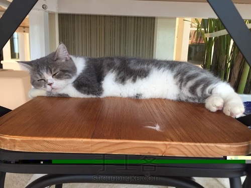 yiyi我一无所有 第1步