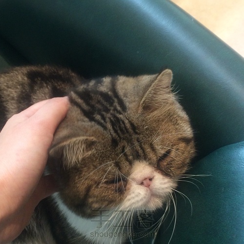 yiyi我一无所有 第4步