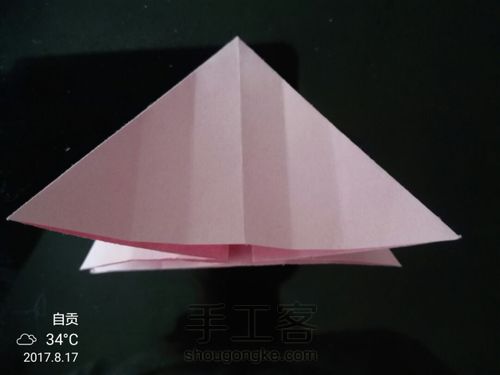 美丽的小花花🌹 第16步