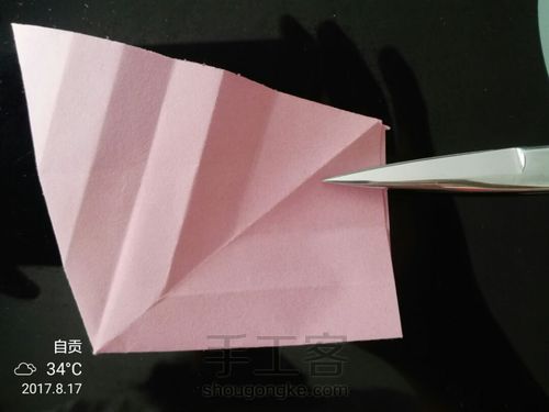 美丽的小花花🌹 第17步