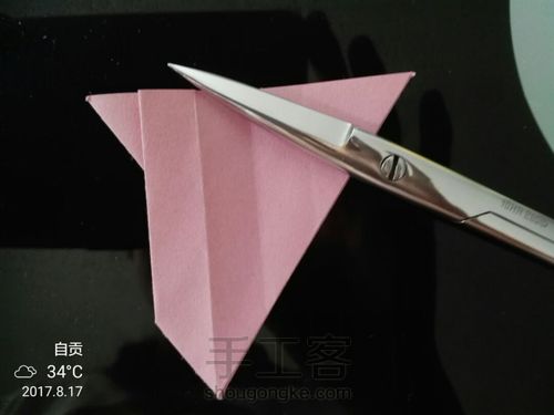 美丽的小花花🌹 第19步