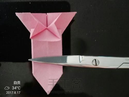 美丽的小花花🌹 第20步