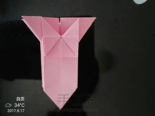 美丽的小花花🌹 第21步