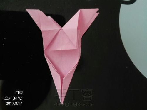 美丽的小花花🌹 第24步