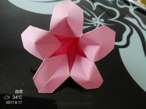 美丽的小花花🌹 第25步